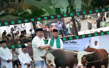 Kejati Jatim Sembelih 29 Sapi Kurban, Lebih dari 3 Ton Daging Dibagikan