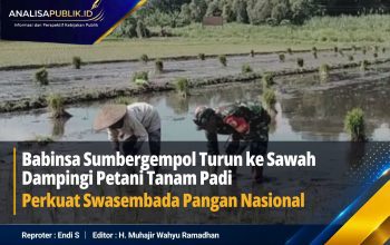 Babinsa Sumbergempol Turun ke Sawah Dampingi Petani Tanam Padi, Perkuat Swasembada Pangan Nasional
