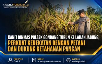 Kanit Binmas Polsek Gondang Turun ke Lahan Jagung, Perkuat Kedekatan dengan Petani dan Dukung Ketahanan Pangan