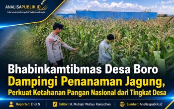 Bhabinkamtibmas Desa Boro Dampingi Penanaman Jagung, Perkuat Ketahanan Pangan Nasional dari Tingkat Desa