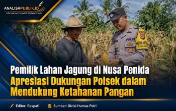 Pemilik Lahan Jagung di Nusa Penida Apresiasi Dukungan Polsek dalam Mendukung Ketahanan Pangan