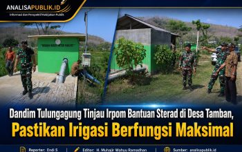 Dandim Tulungagung Tinjau Irpom Bantuan Sterad di Desa Tamban, Pastikan Irigasi Berfungsi Maksimal