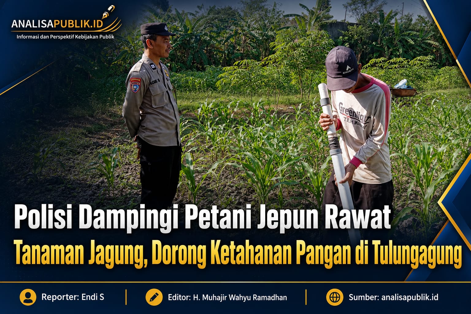 Polisi Dampingi Petani Jepun Rawat Tanaman Jagung, Dorong Ketahanan Pangan di Tulungagung