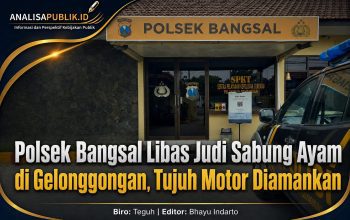 Polsek Bangsal Libas Judi Sabung Ayam di Gelonggongan, Tujuh Motor Diamankan